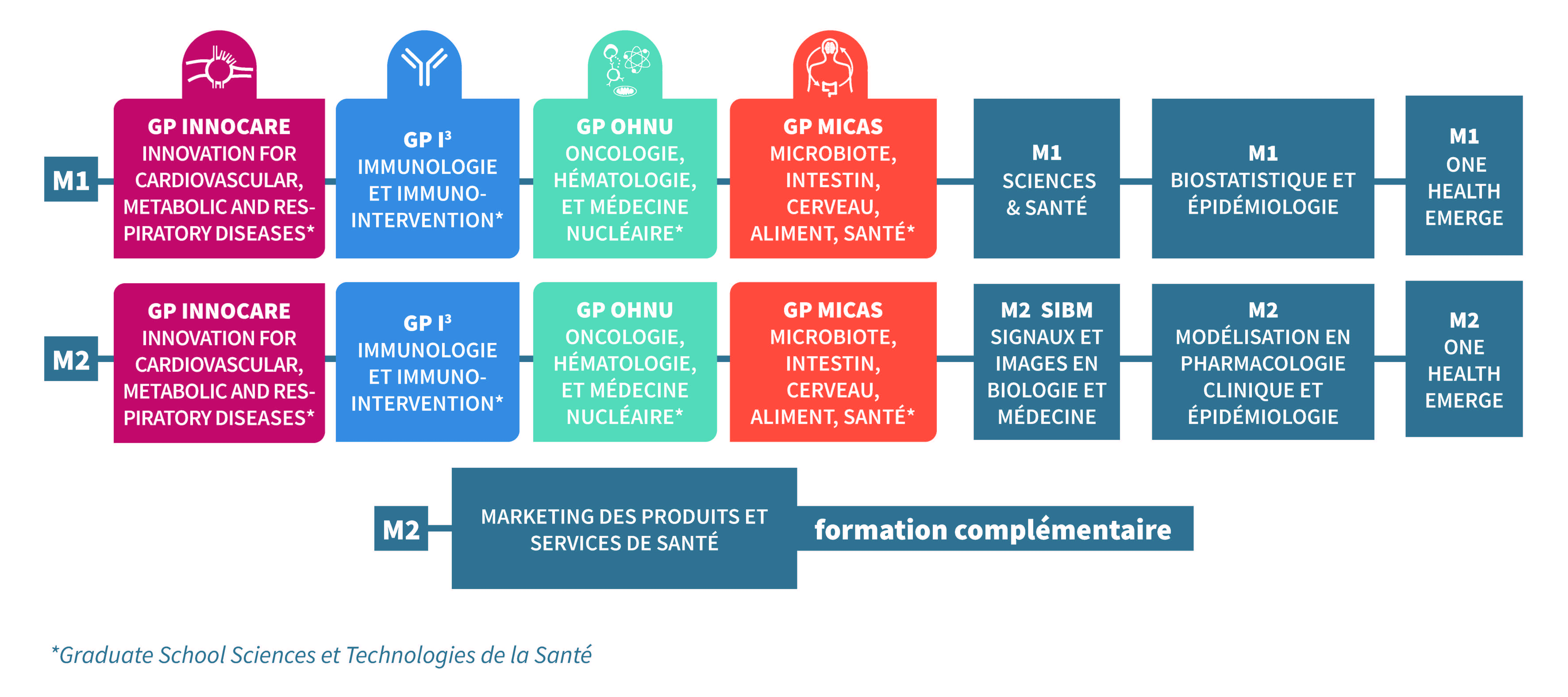 organigramme mention BS